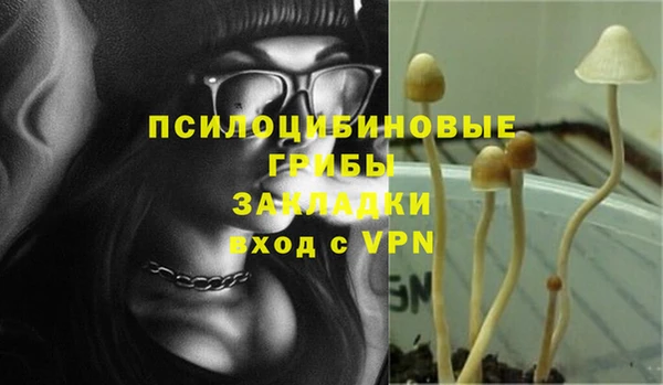 таблы Бородино