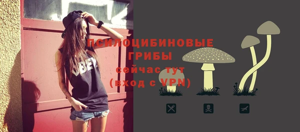 таблы Бородино