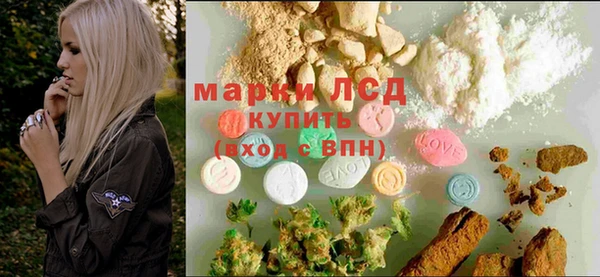 PSILOCYBIN Бугульма