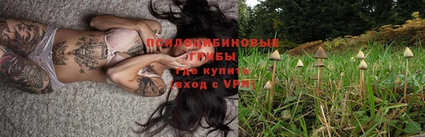 таблы Бородино