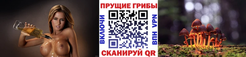 Псилоцибиновые грибы Magic Shrooms  цена   Спасск-Рязанский 